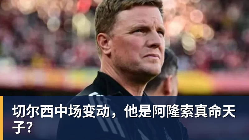 龟尾与报恩尚武的对比探讨及其在现代社会中的意义与影响